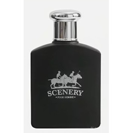 Туалетна вода Scenery Pour Homme Perfume спрей 100 мл парфуми для чоловіків
